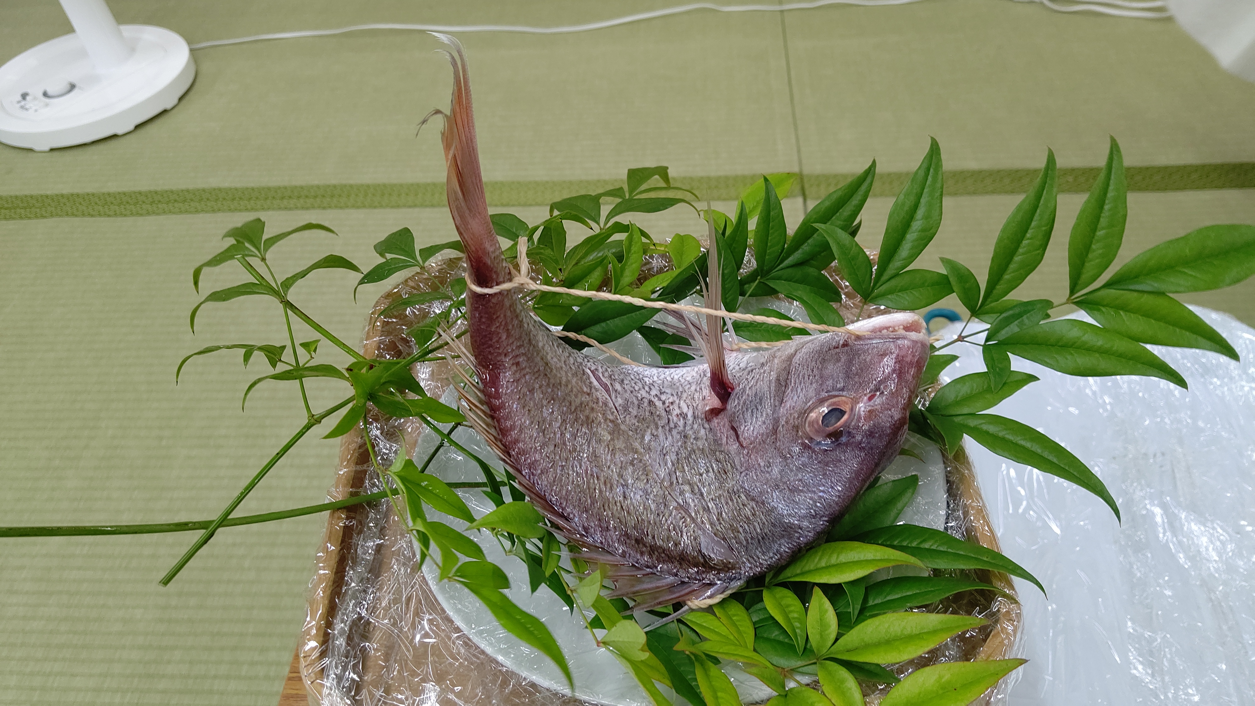 神饌（鯛のお供え）